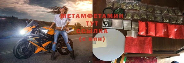 прущие грибы Россошь