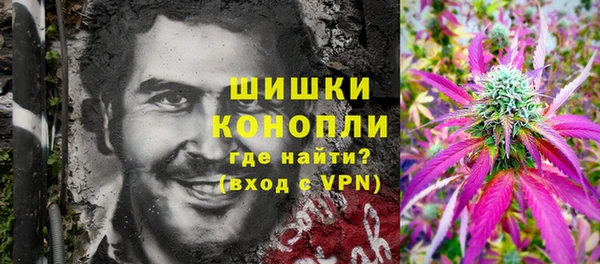прущие грибы Россошь