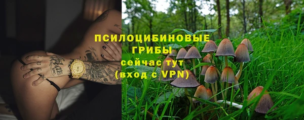 твердый Саяногорск