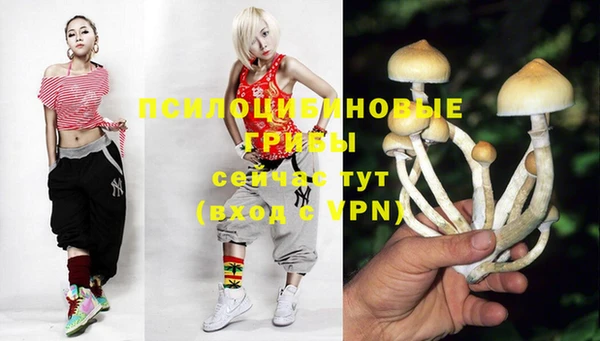 первитин Надым