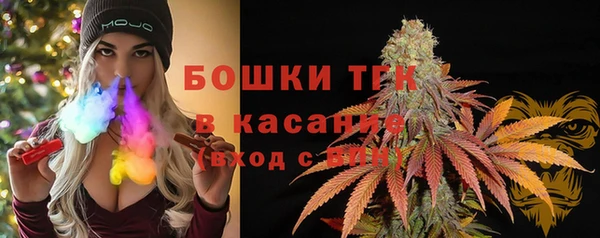 прущие грибы Россошь