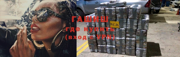 прущие грибы Россошь