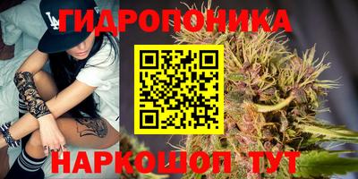 индика Кунгур