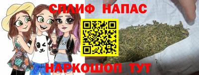 индика Кунгур
