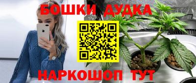 индика Кунгур