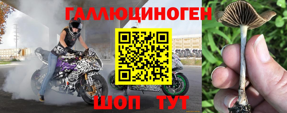 Галлюциногенные грибы GOLDEN TEACHER Нижний Тагил